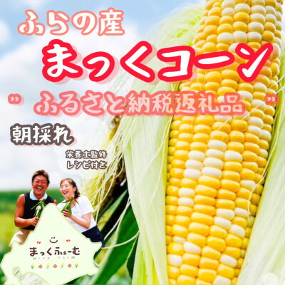 【ふるさと納税】【先行予約】【8月より順次発送】北海道　富良野産　まっくコーン(スイートコーン)10本+1本付き!【配送不可地域：離島】【1458329】