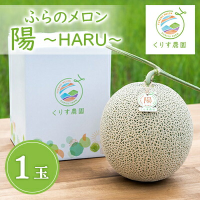 【ふるさと納税】ふらのメロン「陽 ～HARU～」大玉(2.3kg以上)×1玉　(赤肉)富良野メロン_ メロン めろん 富良野メロン 赤肉 フルーツ くだもの 果物 ふるーつ 青果 北海道 富良野 産直 産地直送 甘い 高糖度 贈答 ギフト 常温 季節限定 人気 【1478649】