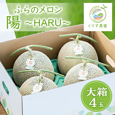 【ふるさと納税】【2026年発送】ふらのメロン「陽 ～HARU～」大箱 8kg以上(大玉×4玉)(赤肉)富良野メロン【1478651】