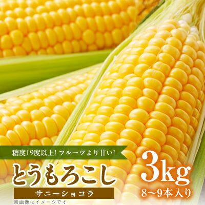 【ふるさと納税】糖度19度以上!フルーツより甘い!【フルーツコーンのサニーショコラ(黄)】3kg詰め　8～9本入り【配送不可地域：離島】【1497843】