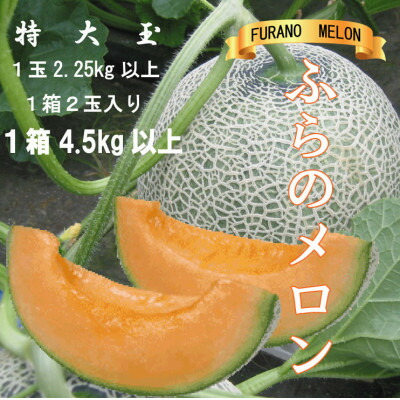 【ふるさと納税】ふらのメロン　赤肉　大玉　1玉2.25kg以上　1箱2玉入り(計4.5kg以上)_ メロン めろん 富良野メロン 赤肉 大玉 フルーツ くだもの 果物 ふるーつ 青果 北海道 富良野 産直 産地直送 甘い 高糖度 贈答 ギフト 常温 季節限定 人気 【1510301】