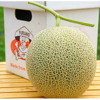 【ふるさと納税】【2026年発送　先行予約】富良野メロン1.3kg～1.5kg1玉入り【1511792】