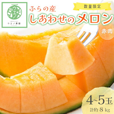【ふるさと納税】ふらの産　しあわせのメロン(赤肉×4～5玉 計約8kg)_ メロン めろん 赤肉メロン 富良野メロン 富良野産 ふらの 北海道 国産 甘い 濃厚 赤肉 4~5玉 フルーツ 果物 おやつ デザート 贈答 ギフト プレゼント 産地直送 送料無料 【1253248】