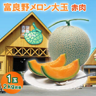 【ふるさと納税】富良野メロン大玉　赤肉1玉(2.1kg前後)【1267742】
