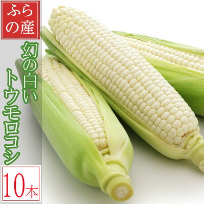 【ふるさと納税】早採りハウス栽培　北海道富良野産 生で食べられる白いトウモロコシ　10本入り【配送不可地域：離島】【1547474】