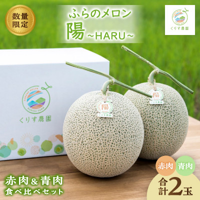 【ふるさと納税】【2026年発送】ふらのメロン「陽 ～HARU～」赤肉&青肉 食べ比べセット(各1玉合計4kg以上)【1576581】