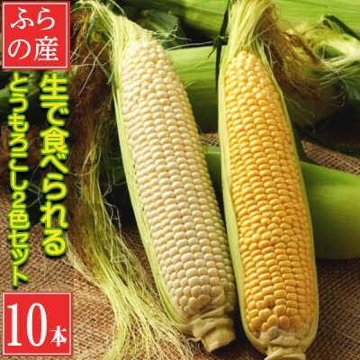 【ふるさと納税】生で食べれる トウモロコシ2種類セット(ホワイト5本・イエロー5本)合計10本【配送不可地域：離島】【1598521】