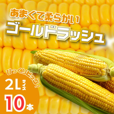 【ふるさと納税】北海道富良野産　イエローとうもろこし　ゴールドラッシュ2Lサイズ10本　産地直送【配送不可地域：離島】【1609338】