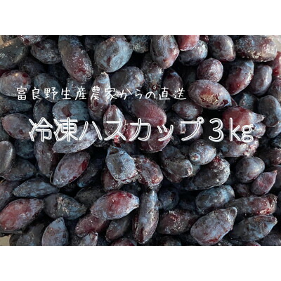 【ふるさと納税】冷凍ハスカップ　3kg【配送不可地域：離島】【1617014】