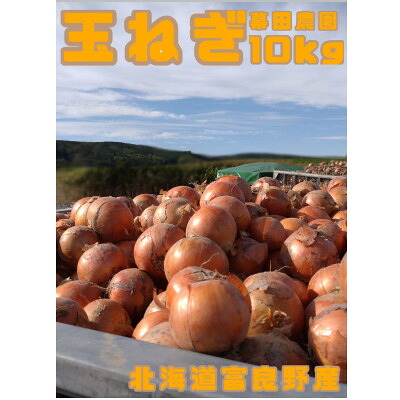 【ふるさと納税】【2026年10月以降発送】北海道 富良野産 玉ねぎ 約10kg【1643940】|北海道富良野市
