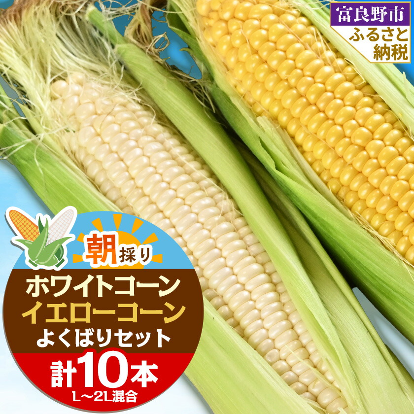 【ふるさと納税】食べ比べホワイトコーンとイエローコーン朝採り当日発送富良野産よくばりセット合計10本_ とうもろこし コーン トウモロコシ セット 食べ比べ 野菜 スイートコーン 朝採れ 人気 産地直送 甘い 送料無料 【配送不可地域：離島】【1405477】
