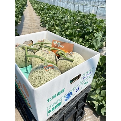 期間限定の特別価格 ふらの中島農園 赤肉メロン4 5玉入り 約8kg 赤肉メロン4 5玉入り 約8kg Nak2 北海道富良野市北海道富良野の恵まれた栽培環境の中で育てられた赤肉メロン フルーツ 果物 ふるさと納税 メロン