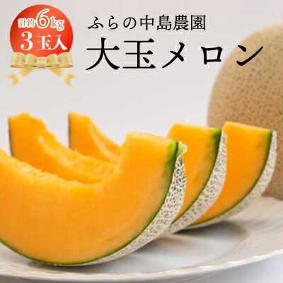 【ふるさと納税】富良野市産　大玉メロン3玉入り【1268352】