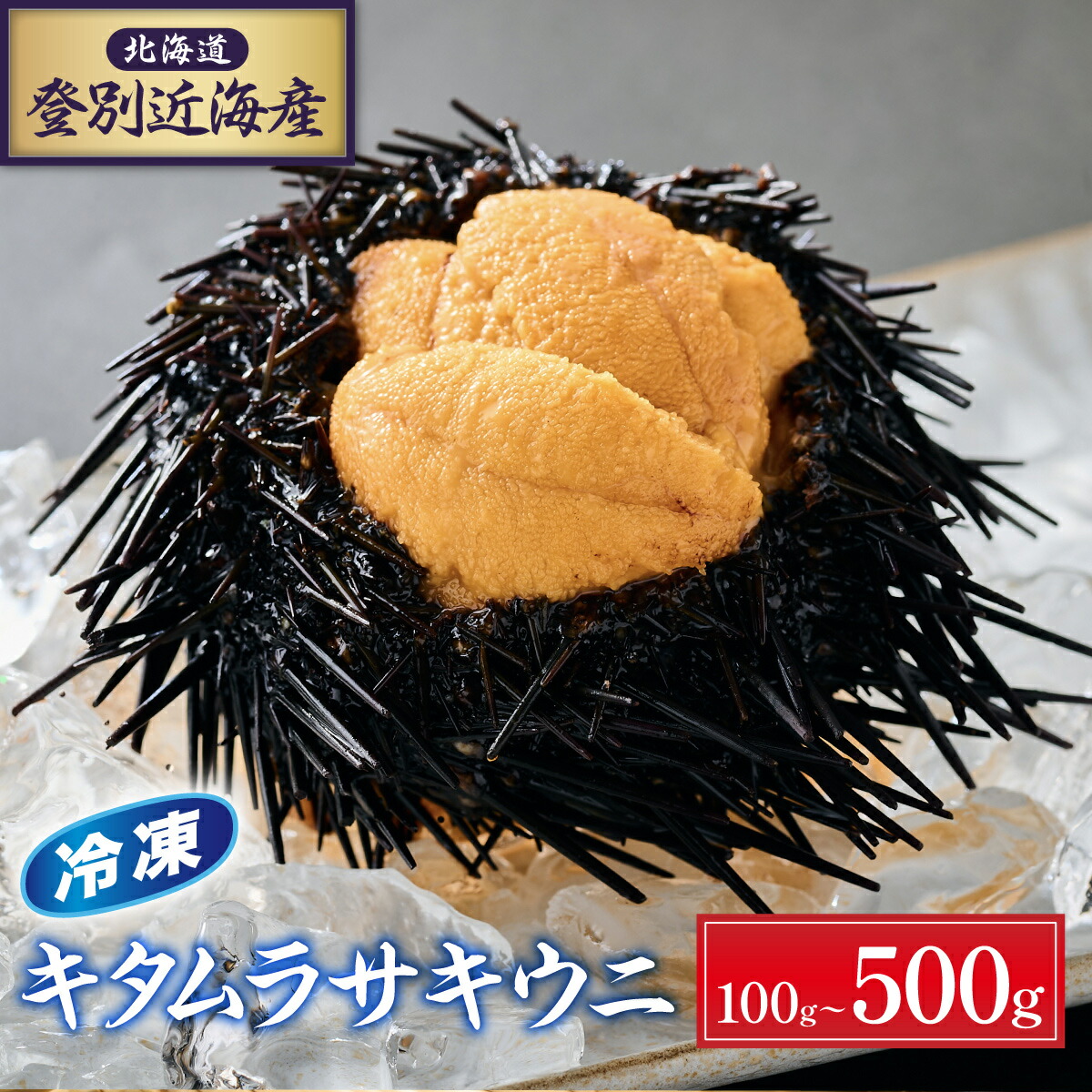 【ふるさと納税】国産 うに 冷凍 うに 北海道 登別近海産 キタムラサキウニ 100g ~ 500g 【6月以降順次発送】| ふるさと納税 うに 雲丹 生うに 海鮮 高級 ウニ 雲丹 キタムラサキウニ ムラサキウニ 北海道 登別 ふるさと 人気  ランキング 送料無料