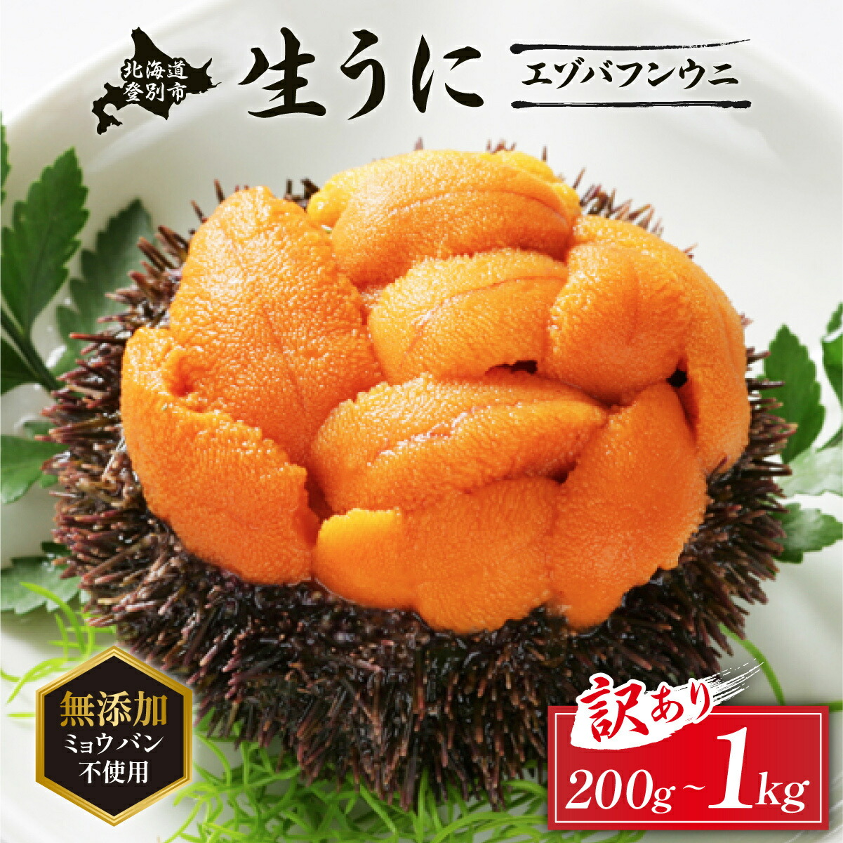 【ふるさと納税】うに ミョウバン不使用 北海道 生うに 塩水パック エゾバフンウニ 雲丹 200g ～ 1kg 《アフター保証付き》 | ふるさと納税 うに 北海道 訳あり ウニ 無添加 規格外 登別 ふるさと ランキング 送料無料 ギフト 2025