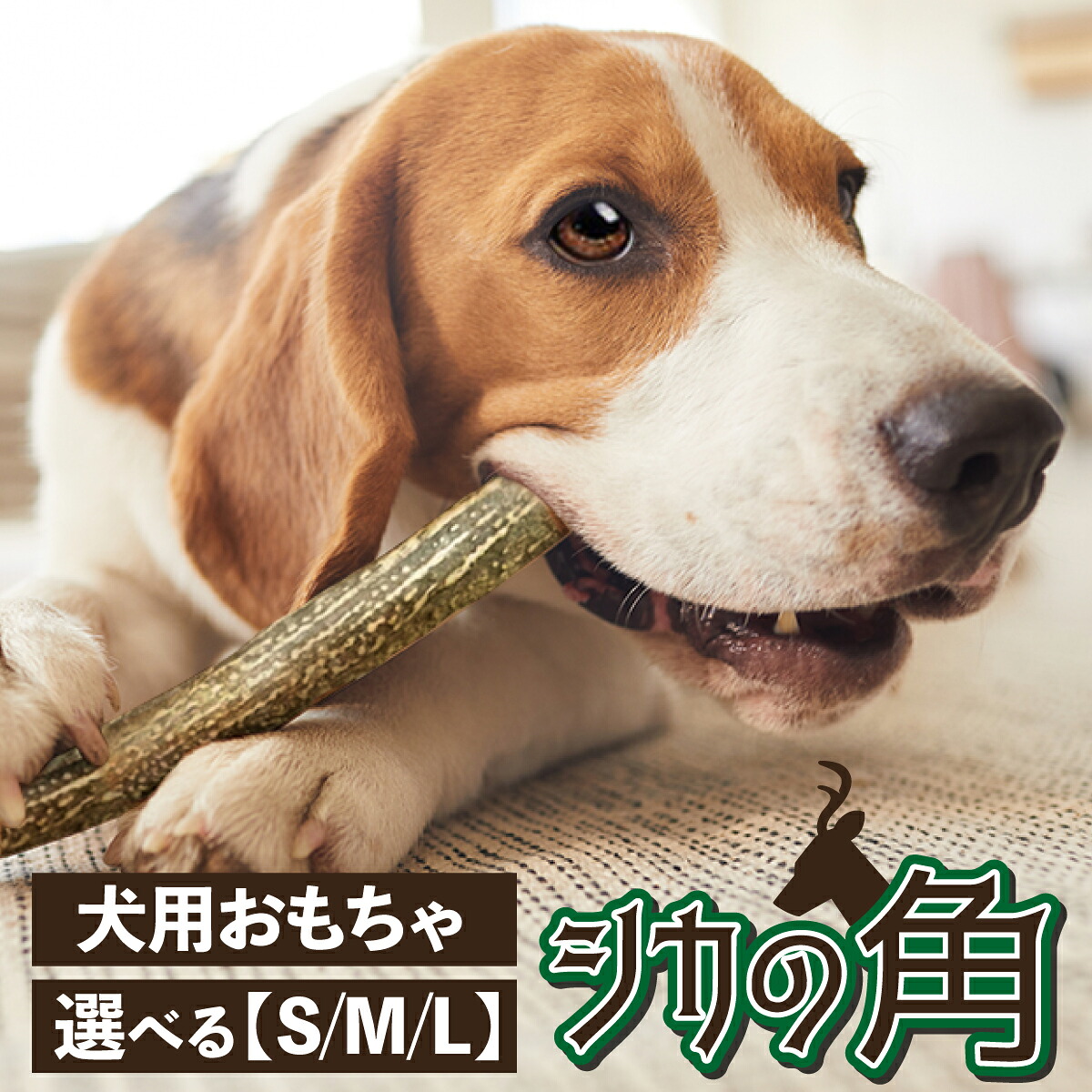 【ふるさと納税】北海道産熊笹 犬が喜ぶお兄ちゃん♪ 鹿角 1本 選べる大いさ（S・M・L）【生まれながら 鹿の角 犬 犬用 愛玩動物 噛む 剪断応力差し止める 歯石 デンタルケア 歯みがき 手あそび 小型犬 中型犬 大型犬】