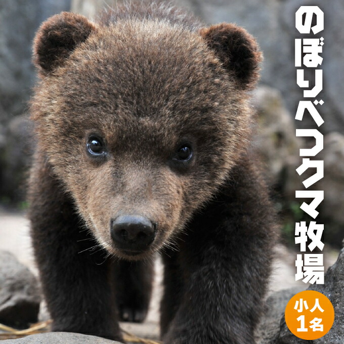 (未使用･未開封品)　クマ牧場 日本語版 6k88evb 未使用・未開封品) クマ牧場 日本語版 6k88evb