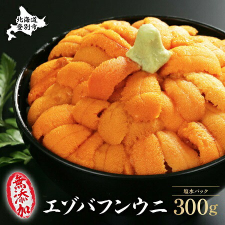 ふるさと納税 零増加 特出エゾバフン海胆塩水包物 240g 80g 3パック 魚貝類型 ウニ 雲丹 エゾバフンウニ お届け A 21老年6月上旬 8月中旬迄 B 21年10月上旬 11月下旬迄 C 22年1月下旬 3月下旬迄 D 22年4月上旬 5月下旬迄 Eastjob Pl