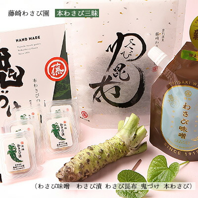 藤崎わさび園 本わさび三昧(わさび味噌 わさび漬 わさび昆布 鬼づけ 本わさび)