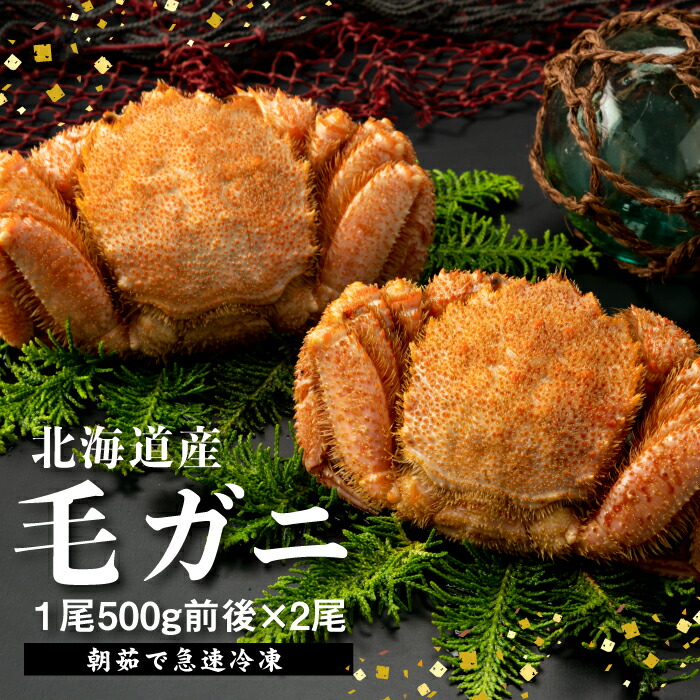 【ふるさと納税】【北海道産】『冷凍』毛ガニ500g前後×2杯【急速冷凍】【52002003】|北海道恵庭市