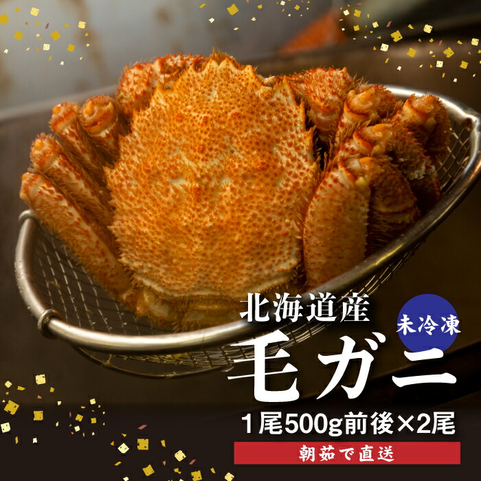 【ふるさと納税】【配達地域限定】 朝茹で 直送毛ガニ 500g前後×2杯 冷蔵 未冷凍 毛ガニ 北海道 ふるさと納税 毛蟹 毛がに 毛ガニ 魚介類 魚 海鮮 新鮮 年末年始 恵庭市 恵庭 北海道ふるさと納税【52001203】