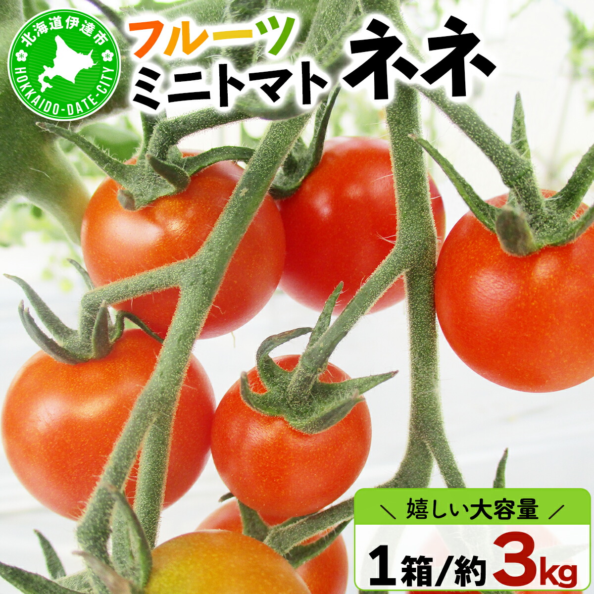 【ふるさと納税】北海道産 ミニトマト ネネ 約3kg フルーツトマト 幻の 高糖度 ジューシー プチ トマト 甘い 濃厚 彩り 鮮やか 希少 お中元 お歳暮 暑中見舞い 帰省土産 ご自宅用 産地直送 大滝農園 送料無料 北海道