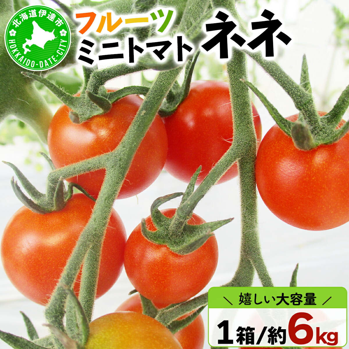 【ふるさと納税】北海道産 ミニトマト ネネ 約6kg フルーツトマト 幻の 高糖度 ジューシー プチ トマト 甘い 濃厚 彩り 鮮やか 希少 お中元 お歳暮 暑中見舞い 帰省土産 ご自宅用 産地直送 大滝農園 送料無料 北海道 伊達