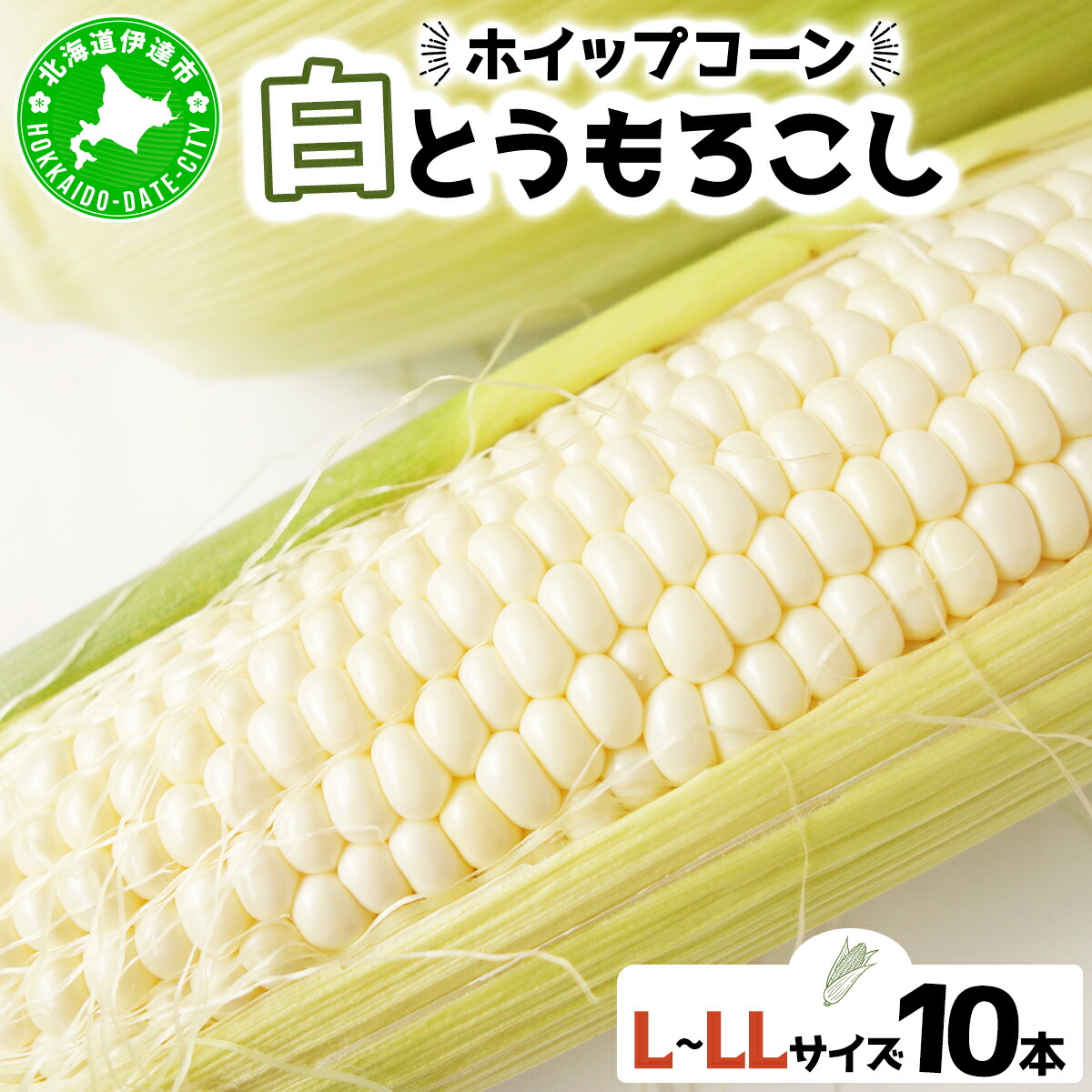 【ふるさと納税】北海道 朝もぎ ホワイト とうもろこし L-LL サイズ 10本 ホイップコーン スイートコーン 白色 トウモロコシ 白い とうきび コーン 旬 完熟 野菜 甘い 産地直送 お取り寄せ