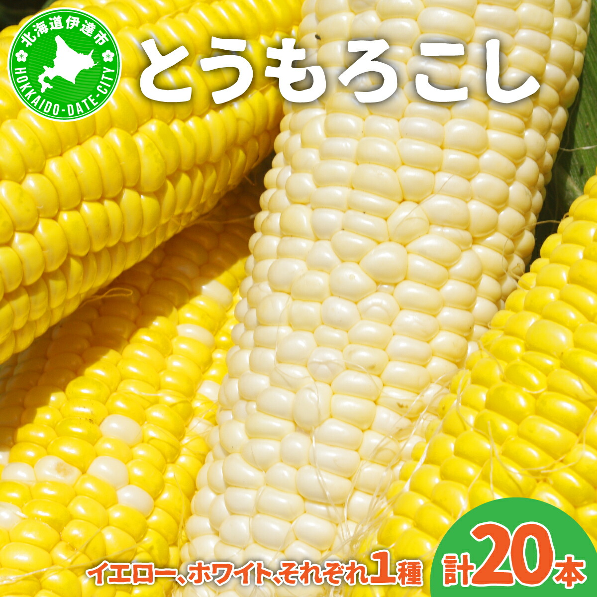 【ふるさと納税】北海道産 とうもろこし 計20本 恵味 ゴールドラッシュ ホイップコーン トウモロコシ とうきび イエロー ホワイト コーン スイートコーン 旬 新鮮 産地直送 野菜 農作物 めぐみ ふじいファーム 送料無料 北海道 伊達　お届け：2025年7月下旬～9月15日頃まで