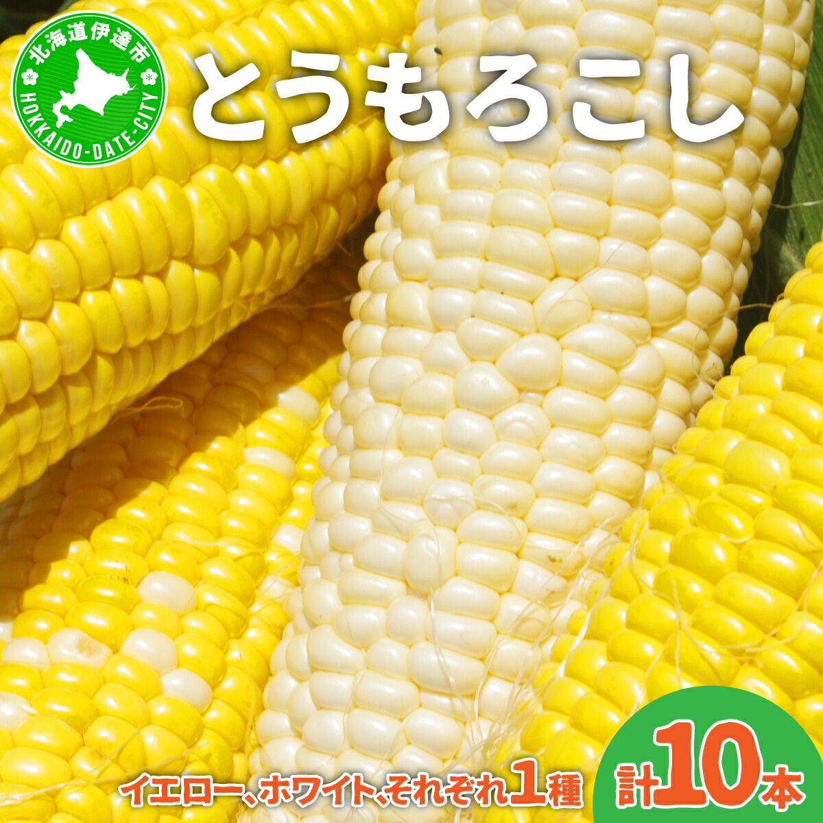 【ふるさと納税】北海道産 とうもろこし 計10本 恵味 ゴールドラッシュ ホイップコーン トウモロコシ とうきび イエロー ホワイト コーン スイートコーン 旬 新鮮 産地直送 野菜 めぐみ ふじいファーム 送料無料 北海道 伊達　 伊達市 　お届け：2025年7月下旬～10月上旬