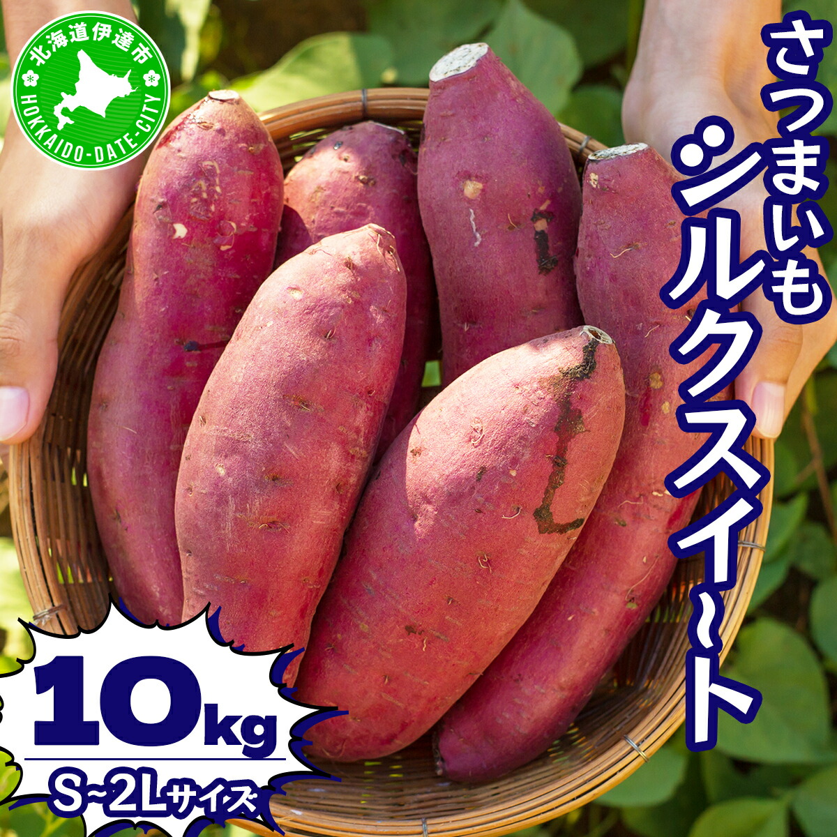 【ふるさと納税】北海道 伊達 さつまいも シルクスイート 10kg 熟成 高糖度 サツマイモ 芋 甘い スイートヤバ芋 産地直送
