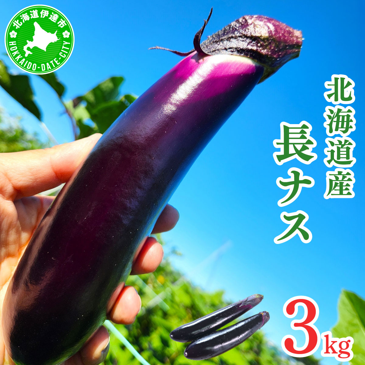 【ふるさと納税】＜先行予約＞北海道伊達産 長ナス 3kg 詰め [2026年発送]【ogr-001】