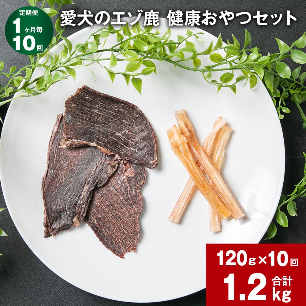 整うサウナ特集