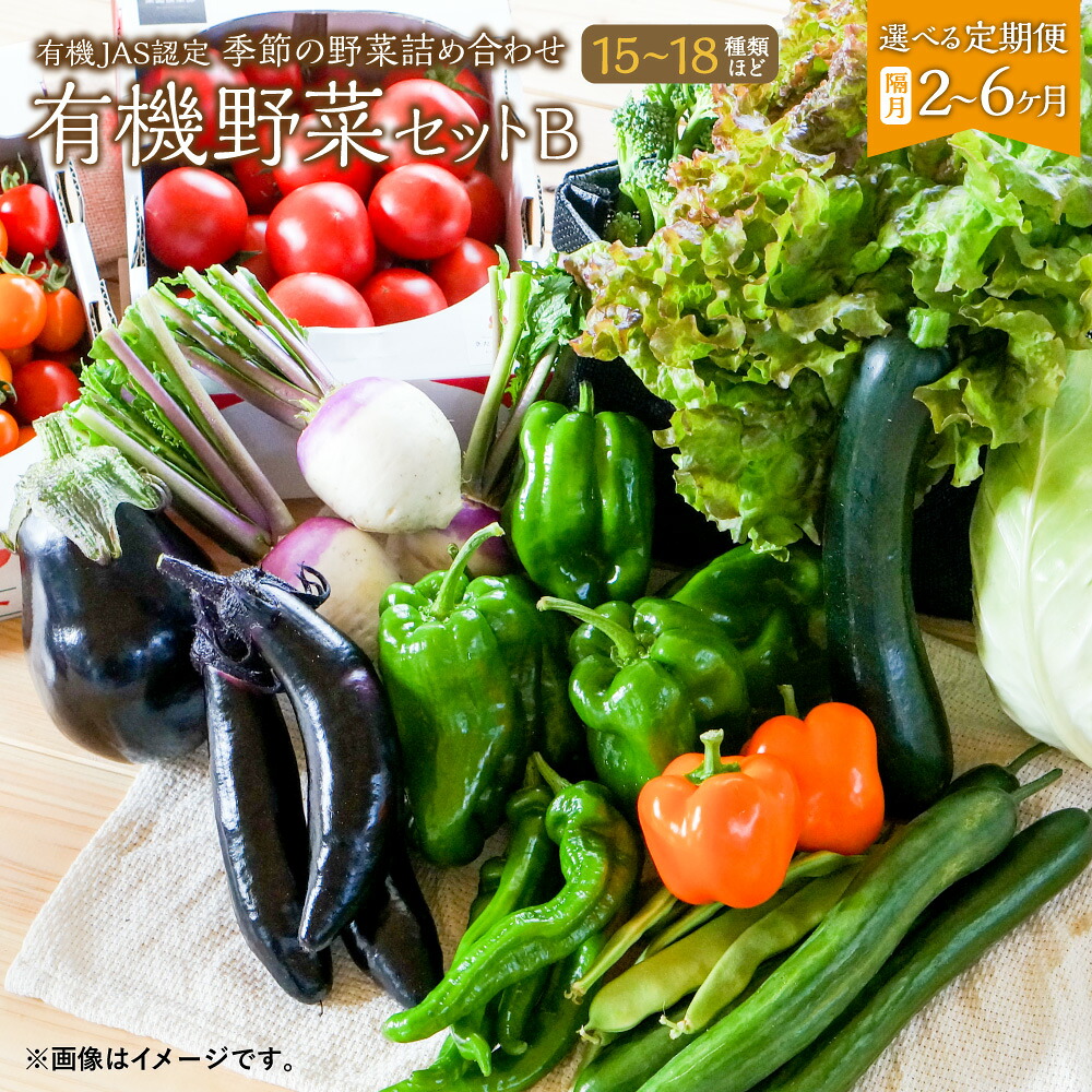 【ふるさと納税】【選べる隔月定期便 2ヶ月～6ヶ月】有機JAS認定 季節の野菜詰め合わせ～有機野菜セットB～ 15～18種類程度 おまかせ 農薬化学肥料不使用 朝どれ 新鮮野菜 国産 隔月定期 2回 3回 4回 5回 6回 冷蔵 北海道 北広島市 送料無料