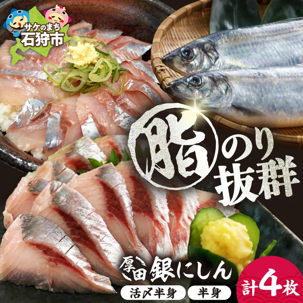【楽天市場】【ふるさと納税】魚介 鰊厚田銀にしん(刺身用)4枚入(活〆半身2枚入×1、半身2枚入×1) 石狩市 北海道 特産品 ニシン 鰊 お刺身 おさしみ 海鮮 魚介類 生 ご当地グルメ あいろーど厚田 道の駅 おつまみ お礼 お惣菜 お総菜 お取り寄せ:北海道石狩市