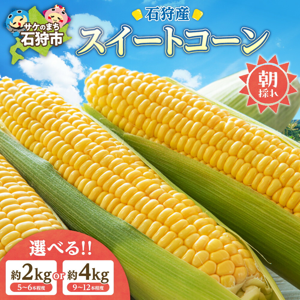 【ふるさと納税】とうもろこし 北海道石狩産 スイートコーン 【選べる 内容量】2kg 約5～6本 4kg 約9～12本 トウモロコシ とうきび トウキビ フルーツ 恵ゴールド 旬 品種 甘い イエロー 黄色 美味しい 北海道 石狩市 7,000円