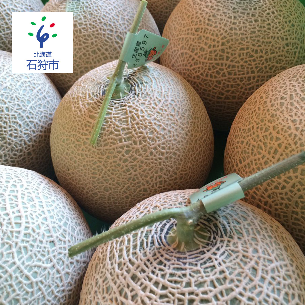 ふるさと納税 額制限事項 厚田瓜 緋羶肉 113u 特出 2玉子 石狩市庭 ふるさと納税 北海道 道産素材 国産 道内 北海道メロン 赤肉メロン 果物手あい くだもの フルーツ 謝意 お取り寄せ 戴き物 エピキュリアン お惣菜 お中元 お歳暮 ごつけ届け 生まれ落ちる一日 配物