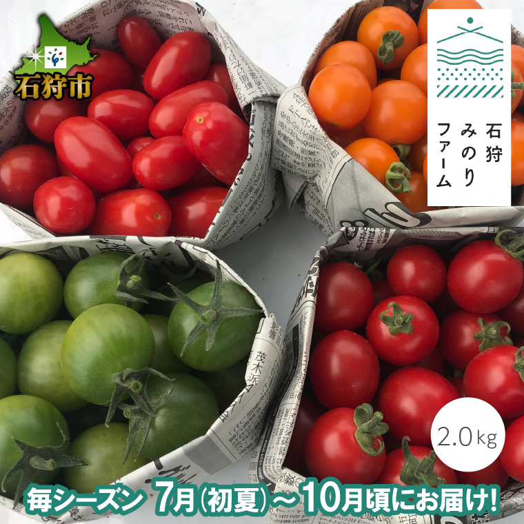 トマト 3.2kg 高知県産 | monicacabral.com.br