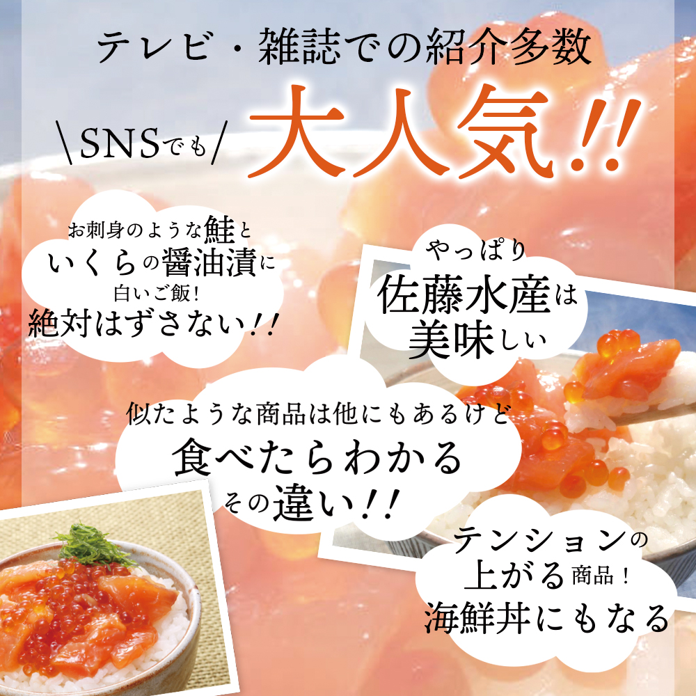 ふるさと納税 佐藤水産 いくらたっぷり鮭ルイベ漬北海道 石狩市 いしかり サーモンファクトリー 鮭 サケ さけ 新巻きサケ 新巻き鮭 サーモン イクラ いくら 筋子 魚醤 北海道物産展 人気 るいべ ルイベ ルイベ漬け るいべ漬け お土産 のし対応可 Movilesgarcia Com