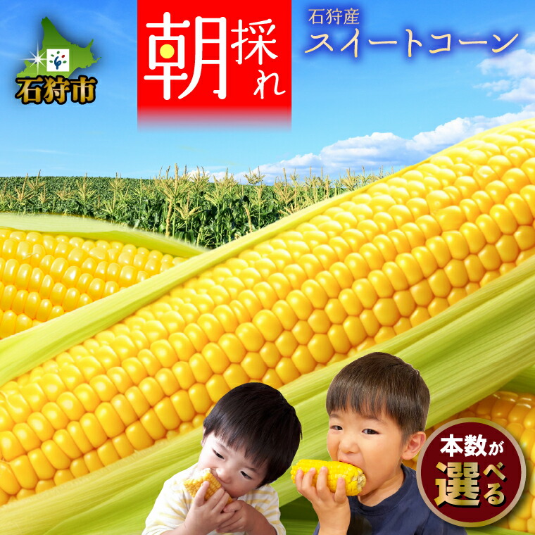 【ふるさと納税】北海道 とうもろこし トウモロコシ<br><br>北海道石狩産 スイートコーン「恵味ゴールド」(6本)(4kg(約9～12本)<br><br>北海道産 石狩市 とうきび フルーツ 恵ゴールド 旬 人気 品種 甘い イエロー 黄色 4.0kg ４キロ ４ｋｇ 美味しい