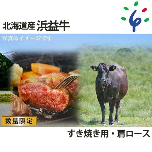 現品限り一斉値下げ 牛肉 和牛 北海道浜益牛 黒毛和牛 すき焼き用石狩市 いしかり 北海道 北海道産素材 道産 惣菜 総菜 スキヤキ すき焼き すきやき 鍋料理 スライス 国産牛 北海道牛 肉 にく ロース ショルダー 自宅用 家庭用 お寄りよせ 人気 Fucoa Cl
