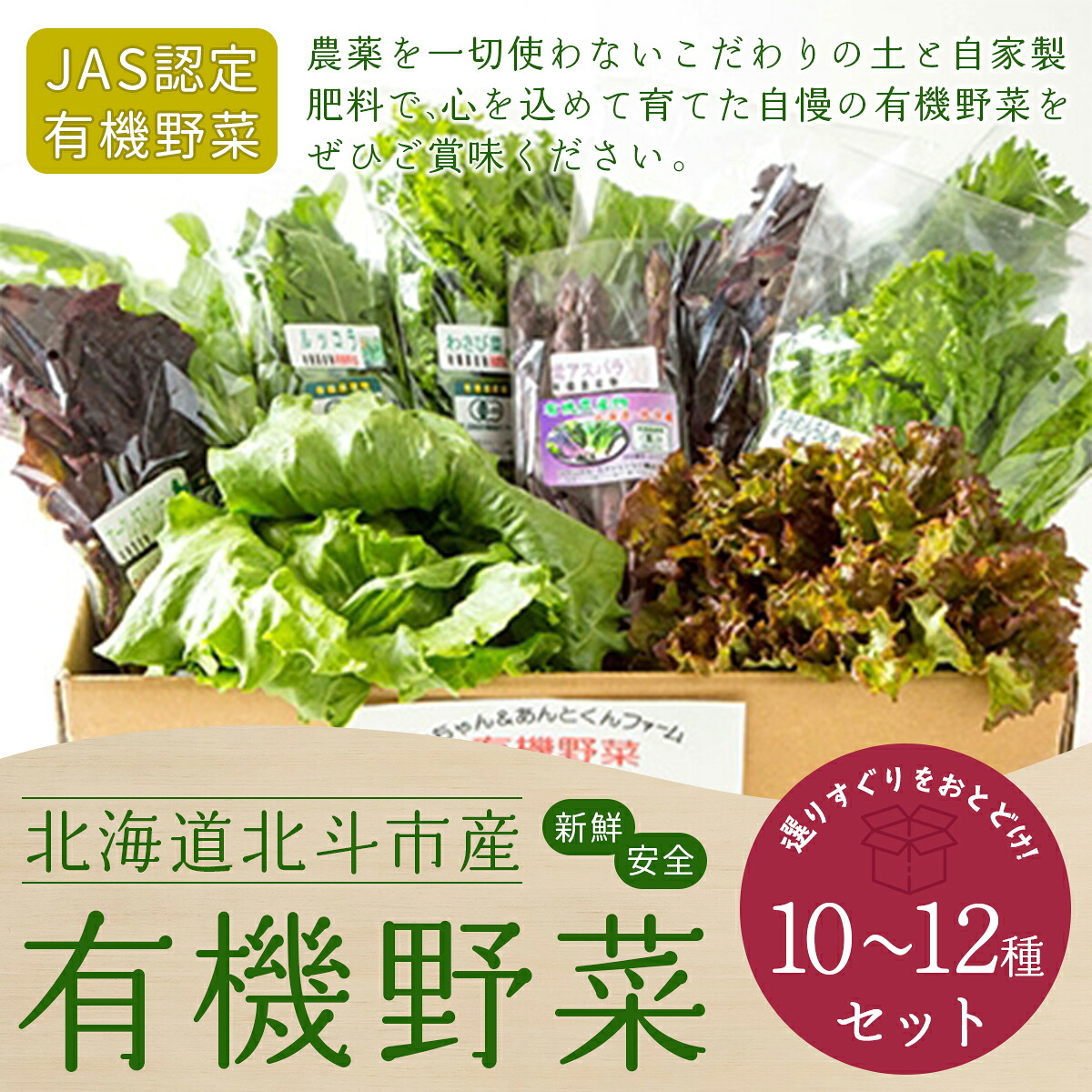 【ふるさと納税】【JAS認定有機野菜】北斗市産 有機野菜10～12種類野菜セット 紙箱入(季節で種類が変わります) 【 ふるさと納税 人気 おすすめ ランキング 野菜 詰め合わせ セット ベジタブル アラカルト 有機野菜 有機栽培 紫からし菜 北海道 北斗市 送料無料 】 HOKB021 16,560円