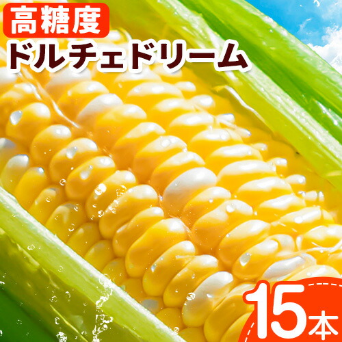 【ふるさと納税】【2025年先行予約】野口農園 高糖度 とうもろこし「ドルチェドリーム」15本 野口農園 トウモロコシ とうもろこし もろこし 北海道 当別町 農家直送 産地直送 高糖度 甘い スイーツ おやつ 野菜 ドルチェドリーム バイカラー コーン