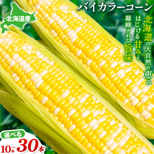 【ふるさと納税】【2025年先行予約】照之家商店鮮度抜群 とうもろこし「黄色と白粒のバイカラーコーン」30本 10本 選べる