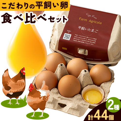 【ふるさと納税】 こだわりの平飼いたまご 食べ比べセット 合計44個  卵 平飼い卵 亜麻仁卵 平飼い 小分け 6パック 食べ比べ  セット こだわり タマゴ たまご オムレツ 卵かけごはん ご飯 生卵 新鮮 国産飼料100% 北海道産 当別町産 鶏卵 北海道 石狩