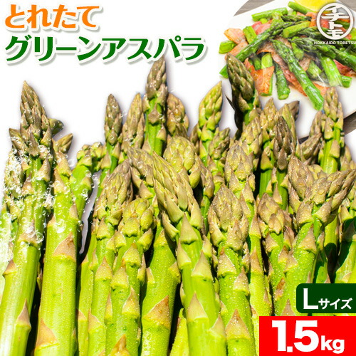 【ふるさと納税】【令和7年先行受付】とれたてグリーンアスパラLサイズ1.5kg イチカワトモヒロ農場 北海道 当別町 野菜  アスパラガス アスパラ グリーンアスパラ Lサイズ 北海道産 季節限定 旬 春 有機肥料 当別 美味しい ヘルシー とれたて 1.5kg