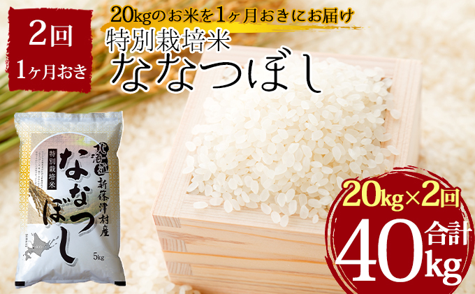 輝く高品質な 特別栽培米ななつぼし計40kg kg 1ヶ月おきに2回発送 定期便 お米 ななつぼし 米 最高の Www Mutupelayanankesehatan Net