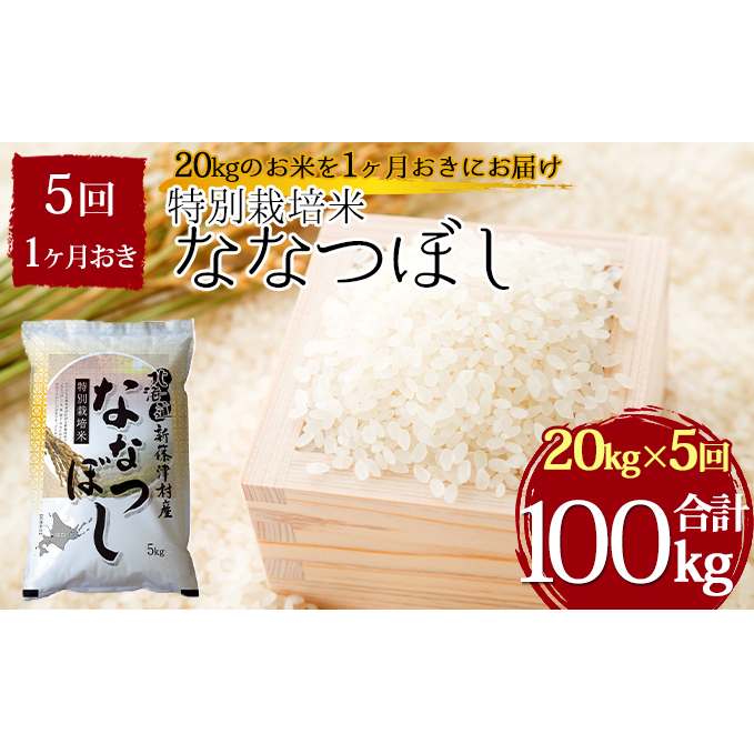 安いそれに目立つ 特別栽培米ななつぼし計100kg kg 1ヶ月おきに5回発送 定期便 お米 ななつぼし 米 北海道新篠津村 最適な材料 Www Barbarariva It