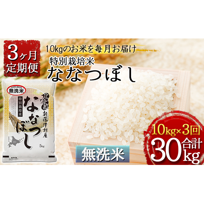 ふるさと納税 無洗米 北海道新篠津村産 特別栽培米ななつぼし10kg 5kg 2 3ヶ月連続お届け 定期便 お米 ななつぼし 米 特別栽培米 無洗米 3カ月 3回 Psicologosancora Es