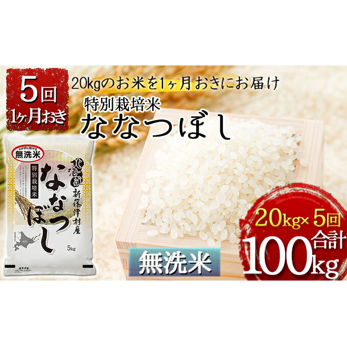 ふるさと納税 無洗米 特別栽培米ななつぼし計100kg kg 5kg 4 1ヶ月おきに5回発送 定期便 お米 ななつぼし 米 特別栽培米 無洗米 Psicologosancora Es